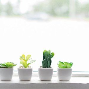 Set of 4 Artificial Succulent Planter Pots